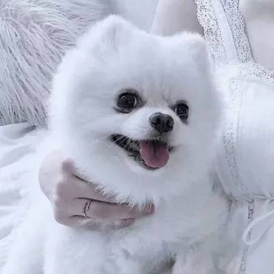 beat365中国在线体育下载手机版