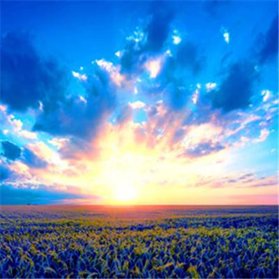 彩神下载手机版截图