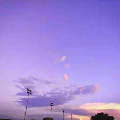 998娱乐彩票安卓APP下载手机版截图