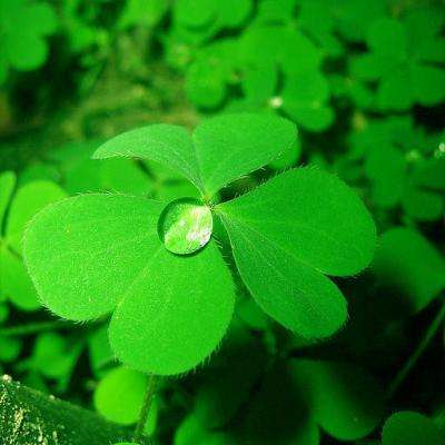 beat365中国在线体育下载手机版截图