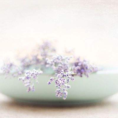 皇冠app官方下载